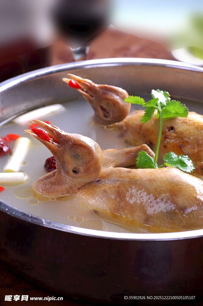 煲仔锅菜品煲仔天麻乳鸽煲