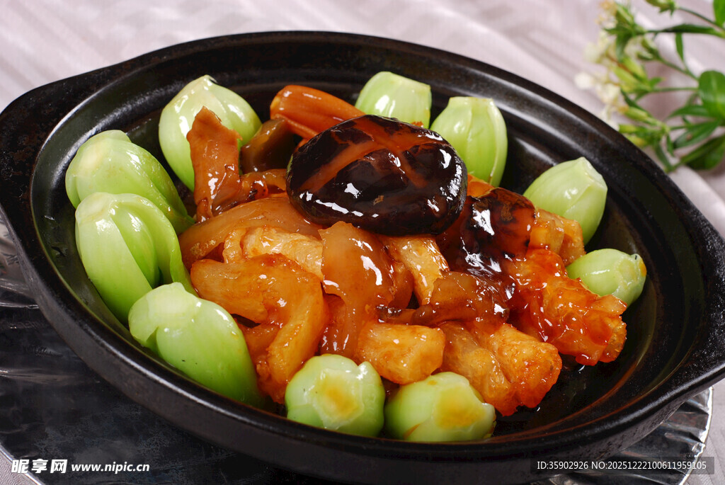 煲仔锅菜品海参蹄筋掌亦煲