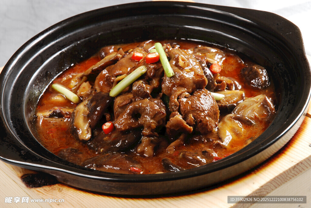 煲仔锅菜品红焖美洲雁