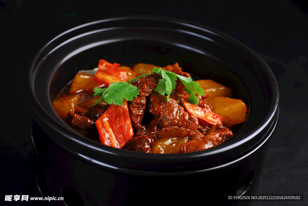 煲仔锅菜品萝卜牛腩煲