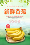 香蕉