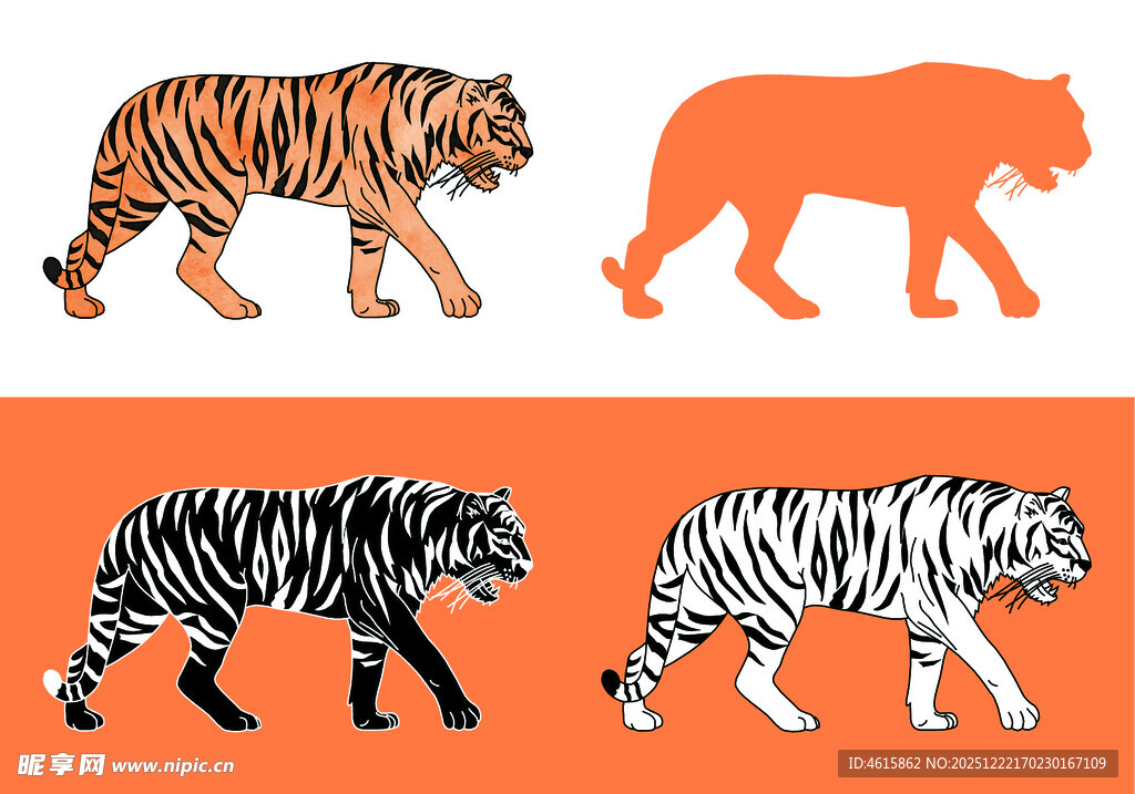 老虎图案