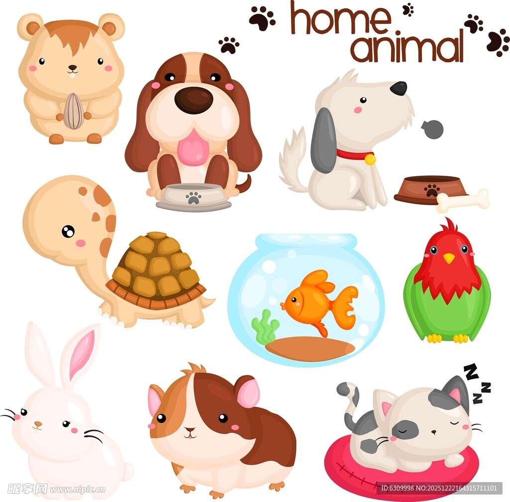 可爱家养宠物集合