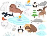 北极动物插画集合