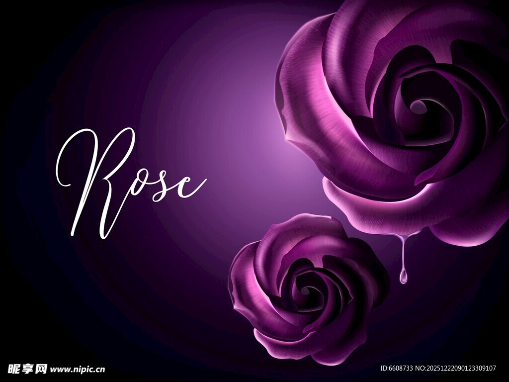 紫色浪漫玫瑰背景图