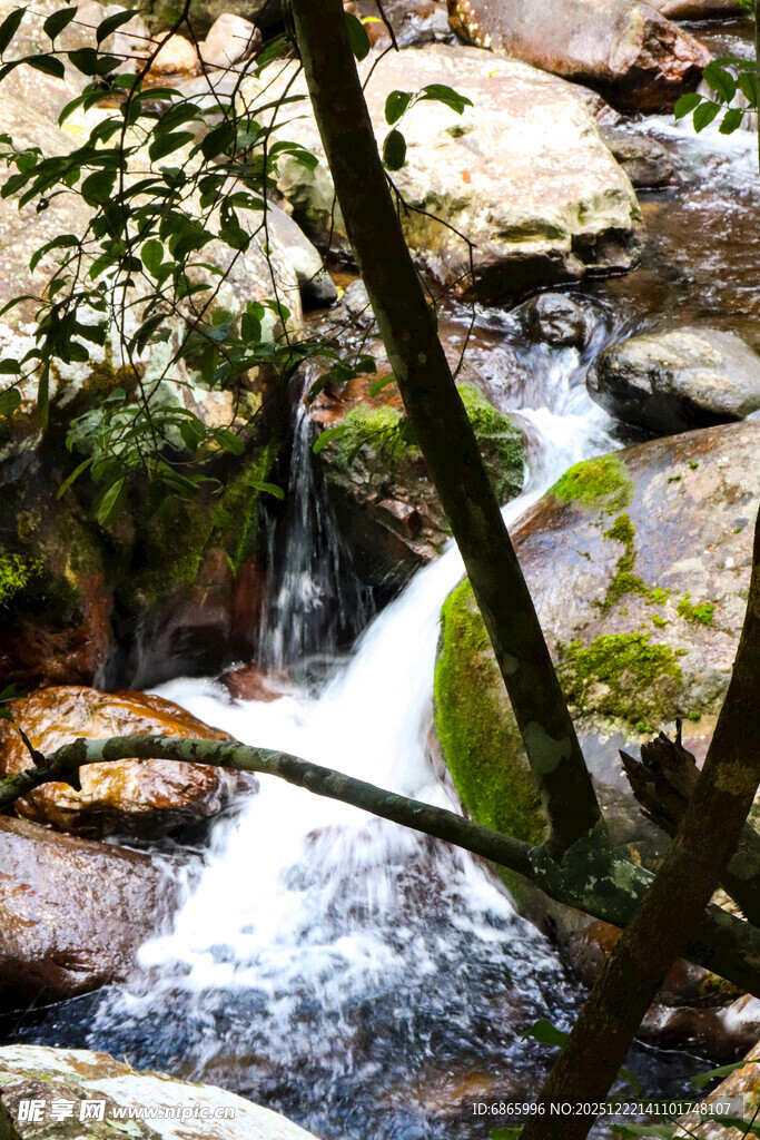 山间溪流潺潺绿意相伴