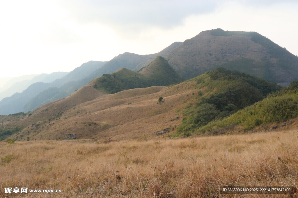 山间草地与远处山峦景色