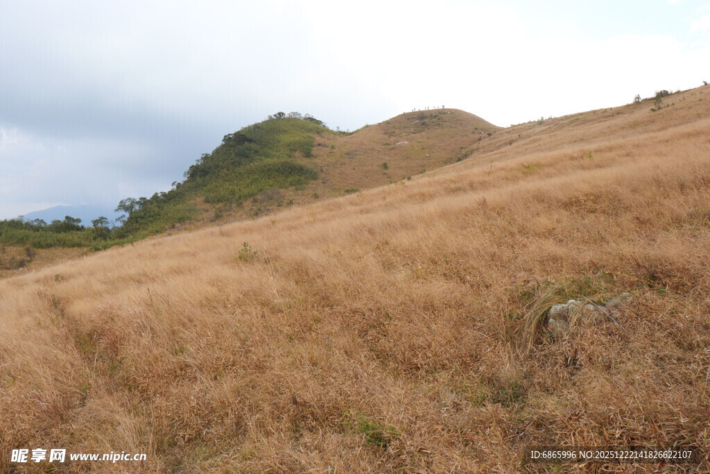 秋日山坡草地风景