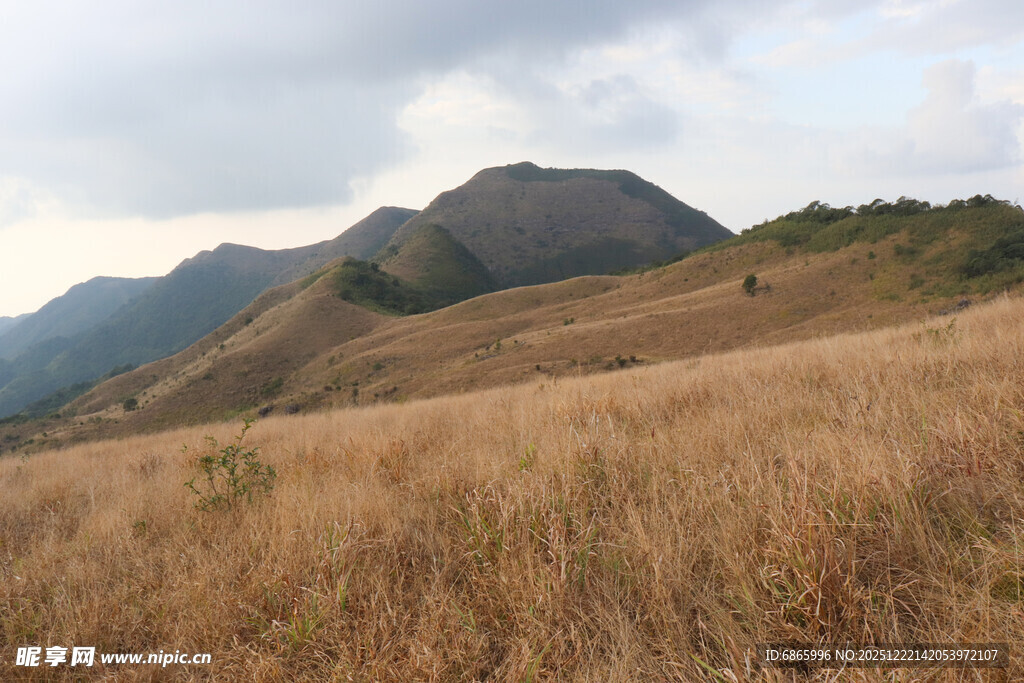 广袤草甸与远处山峦