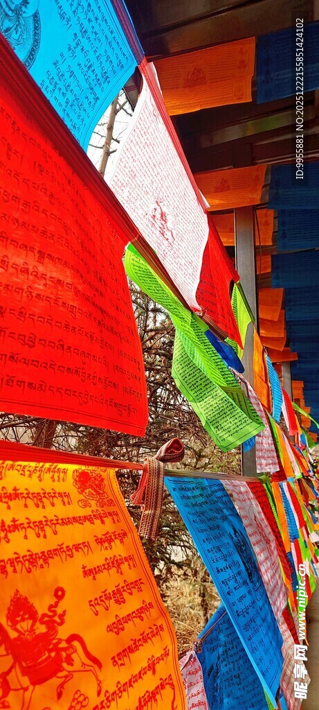 青海多彩经幡飘扬