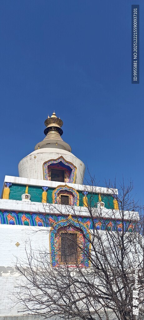 青海藏式风格建筑