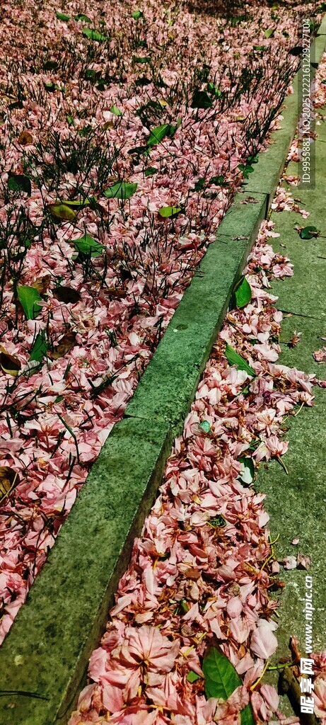 陕西西安壮观农田景观