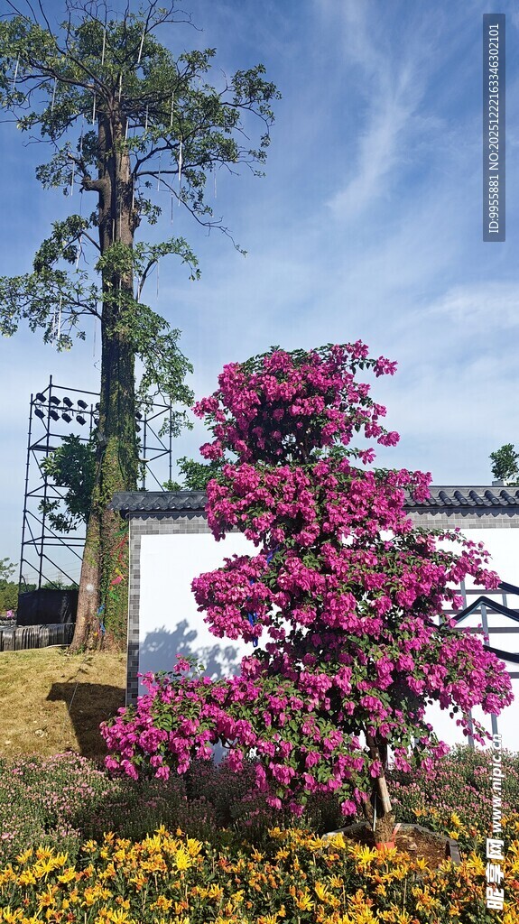 广东中山繁花绿树装点的美丽景致