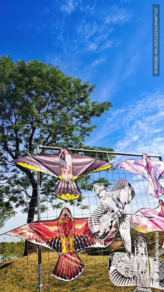 广东中山小户外多彩风筝装点蓝天