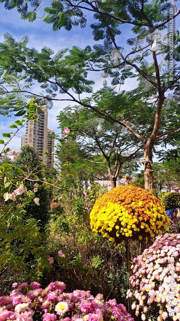广东中山小秋日花园多彩花卉景观