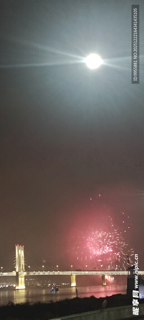 广东珠海中城市夜空绚丽烟花绽放