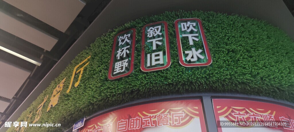 广东珠海中山墙面绿植装饰景观