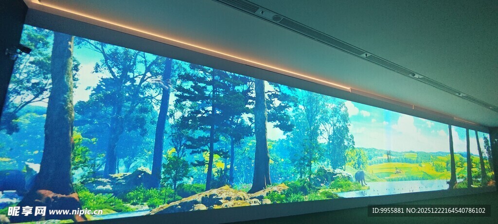 广东珠海中梦幻森林景观玻璃幕墙