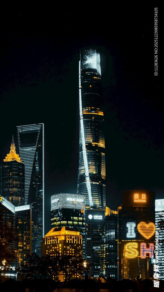上海夜景摩天大楼璀璨