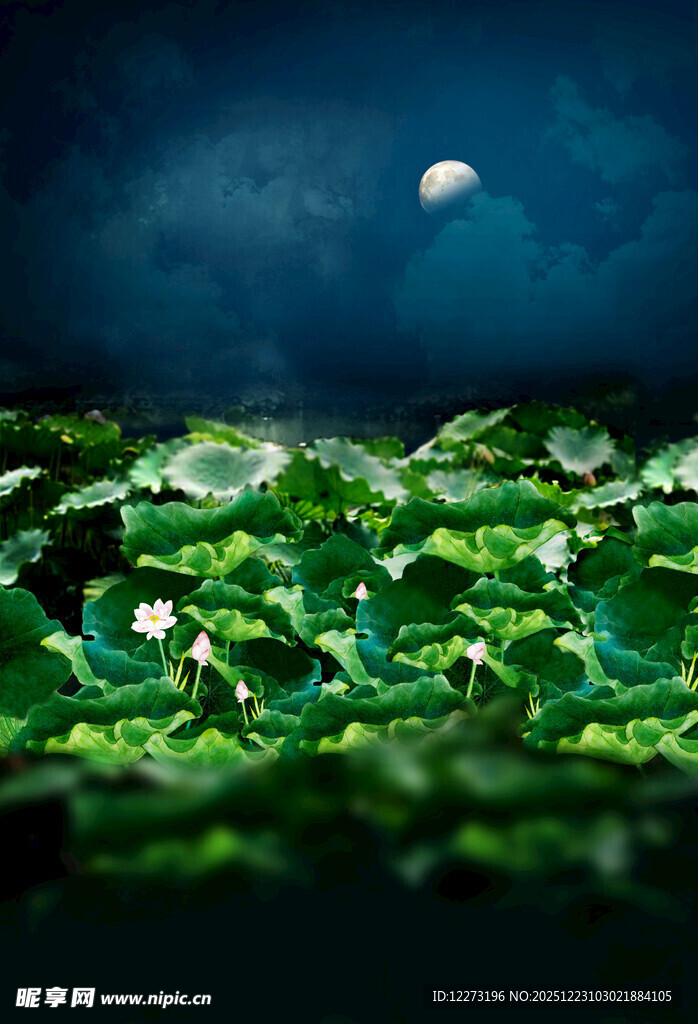 月夜下的翠绿荷叶景观