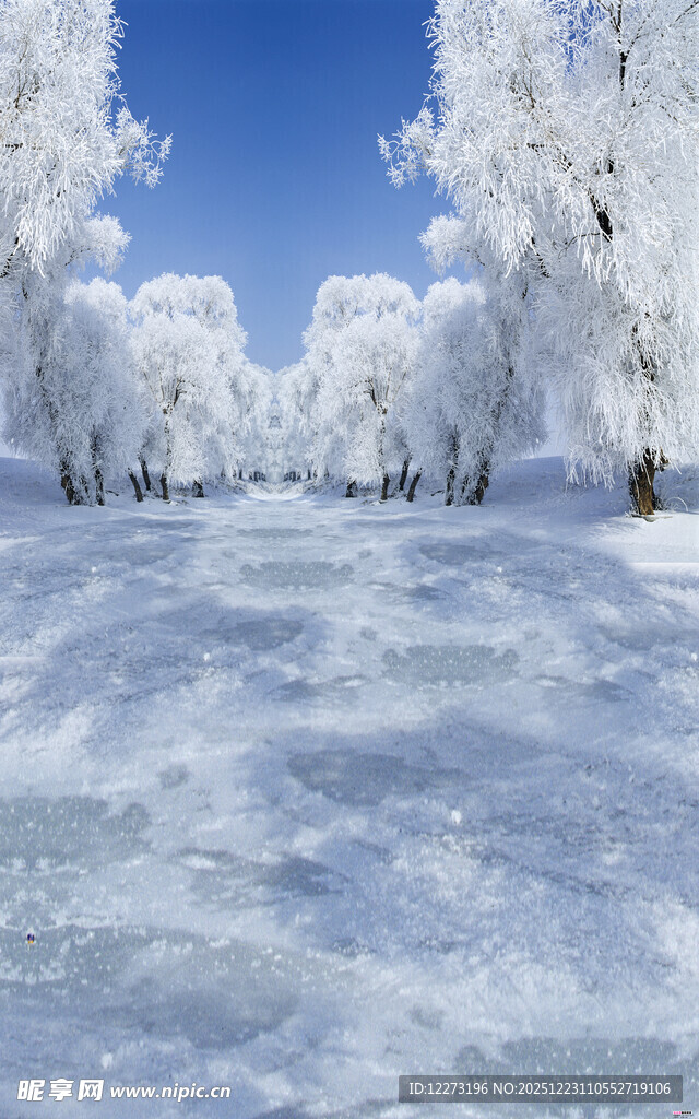 冬日雪景 