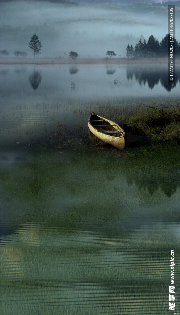 湖面上漂浮的金色圆环