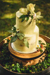 两层绿植装饰精美婚礼蛋糕