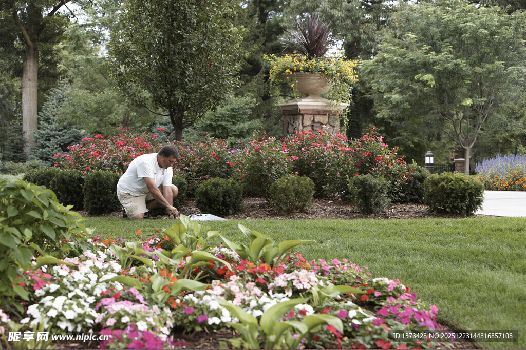 园丁打理缤纷花园景致