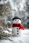 冬日可爱雪人