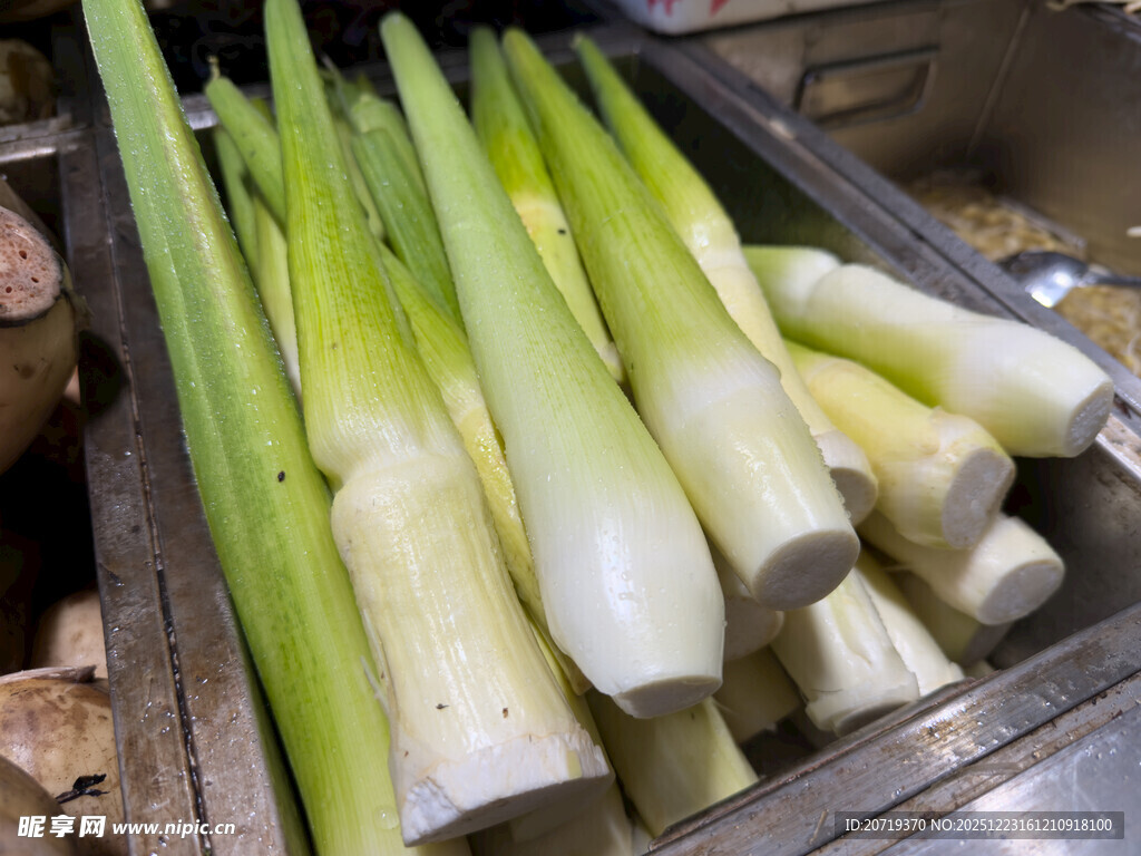 新鲜茭白整齐摆放