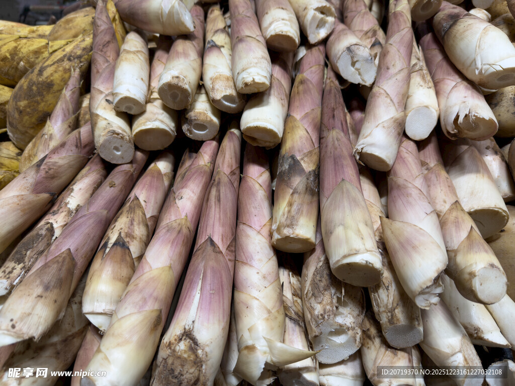 新鲜竹笋堆成小山