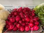 新鲜红皮萝卜堆放在一起