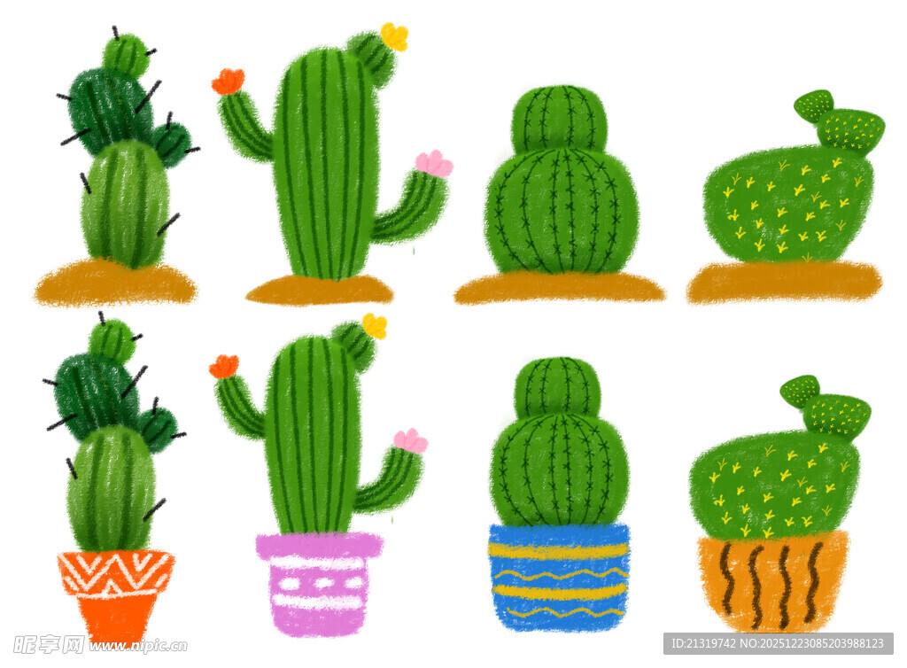仙人掌插画