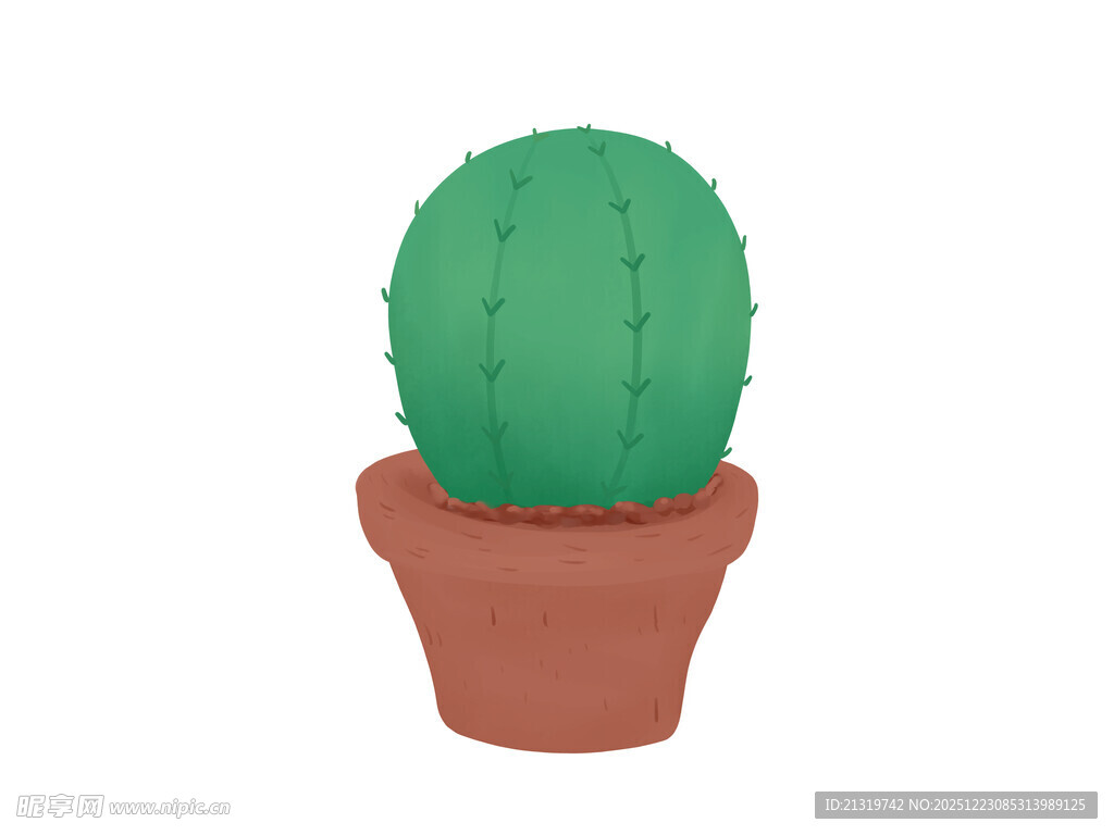 仙人掌插画