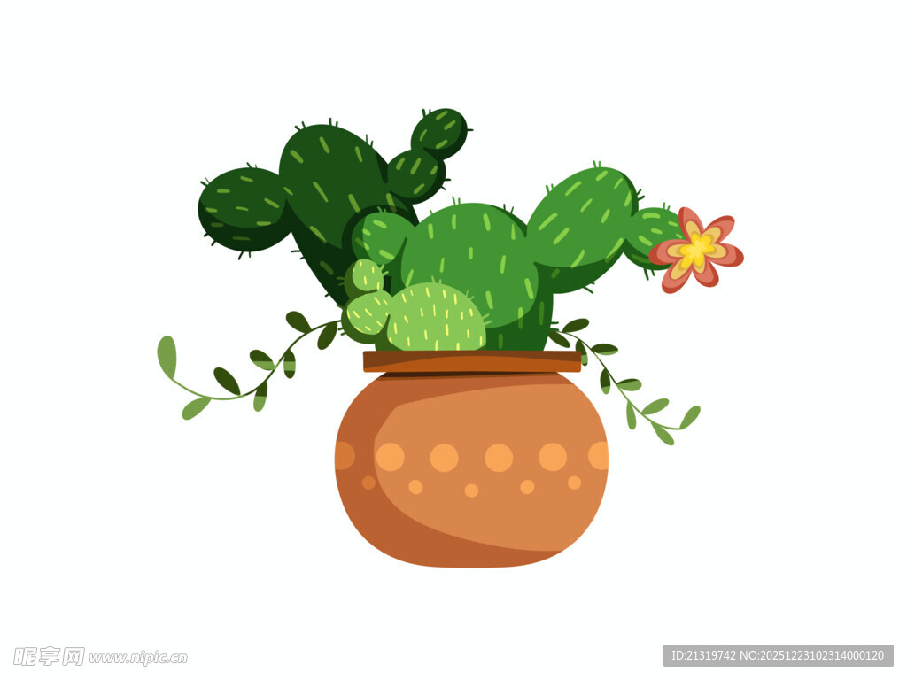 仙人掌插画