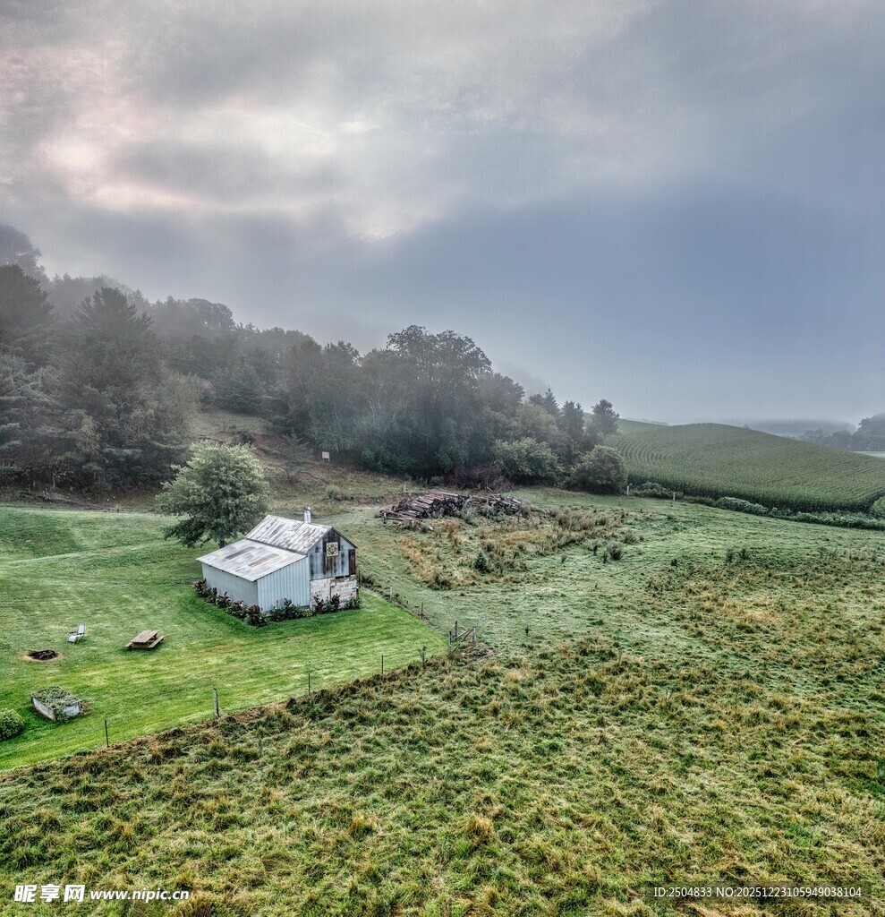 野外草地中的白色帐篷