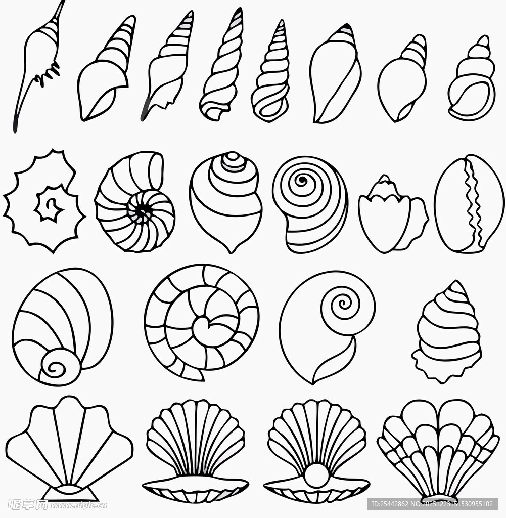 贝壳线条图案