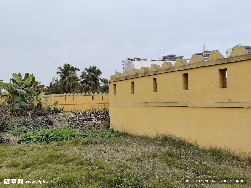 黄色围墙旁的绿植景观