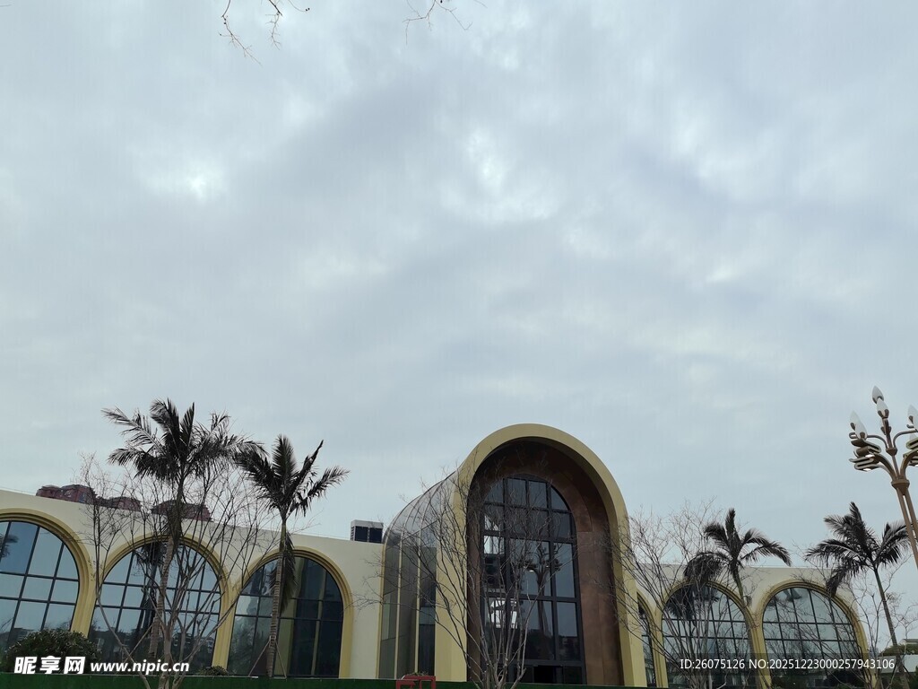 欧式风格建筑与棕榈树景观