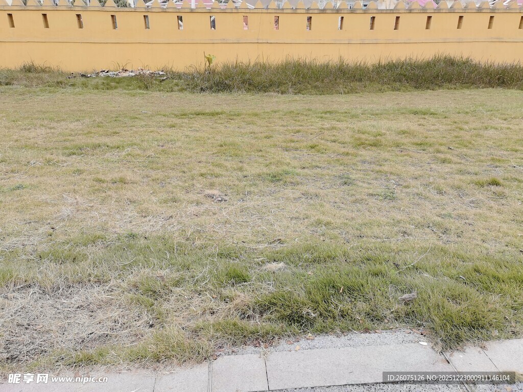 户外草地与围墙景观