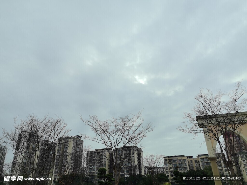 阴天城市景观与稀疏树木