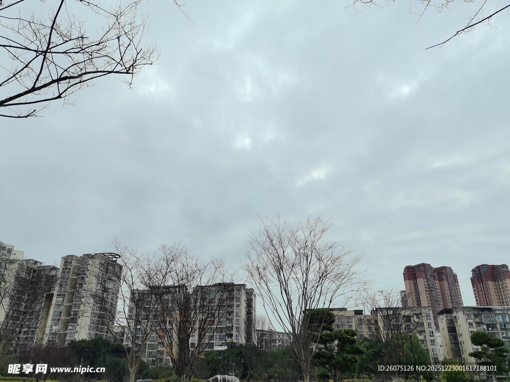 阴天里的城市居民区景观