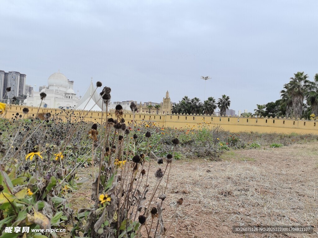 田野间的花卉与远处建筑