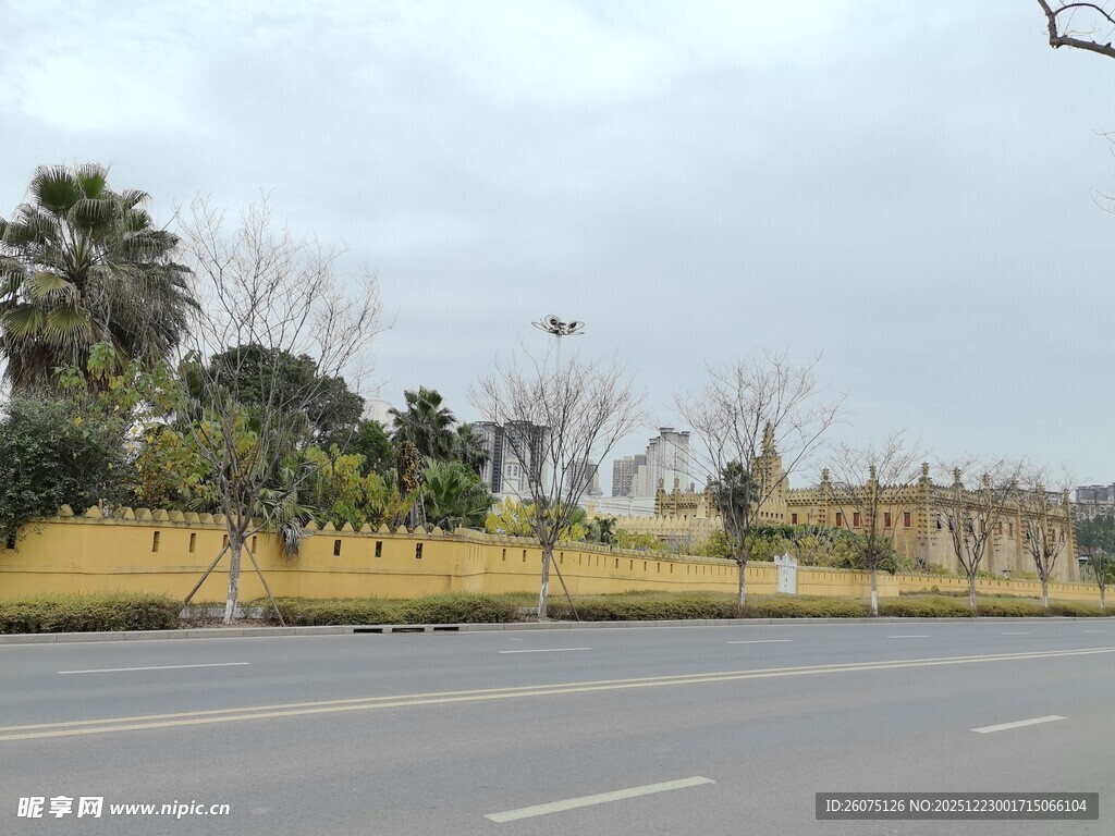 宽阔道路旁的绿植景观