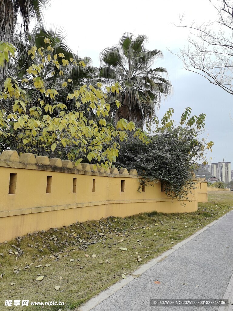 黄色围墙旁的绿植与小路