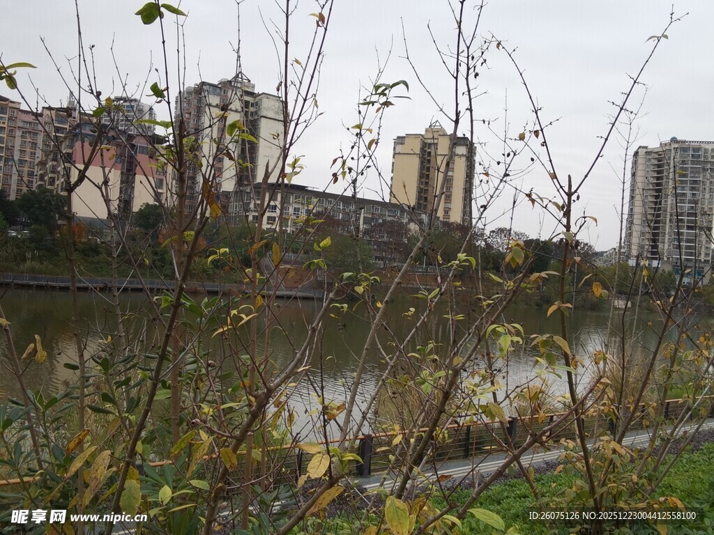 城市河畔萧瑟秋景