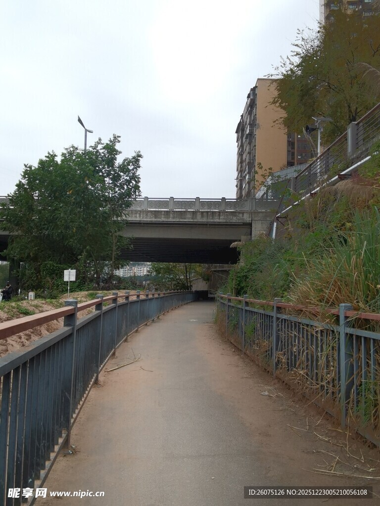 城郊小路与上方高架桥