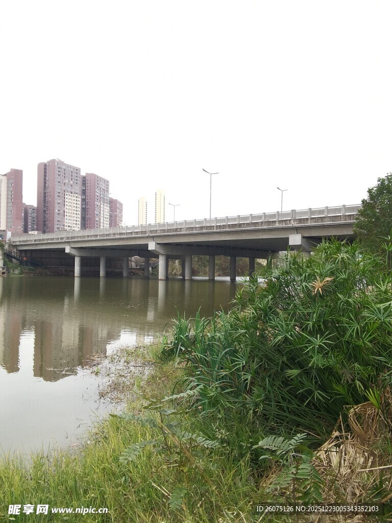 河畔桥梁与城市建筑景观