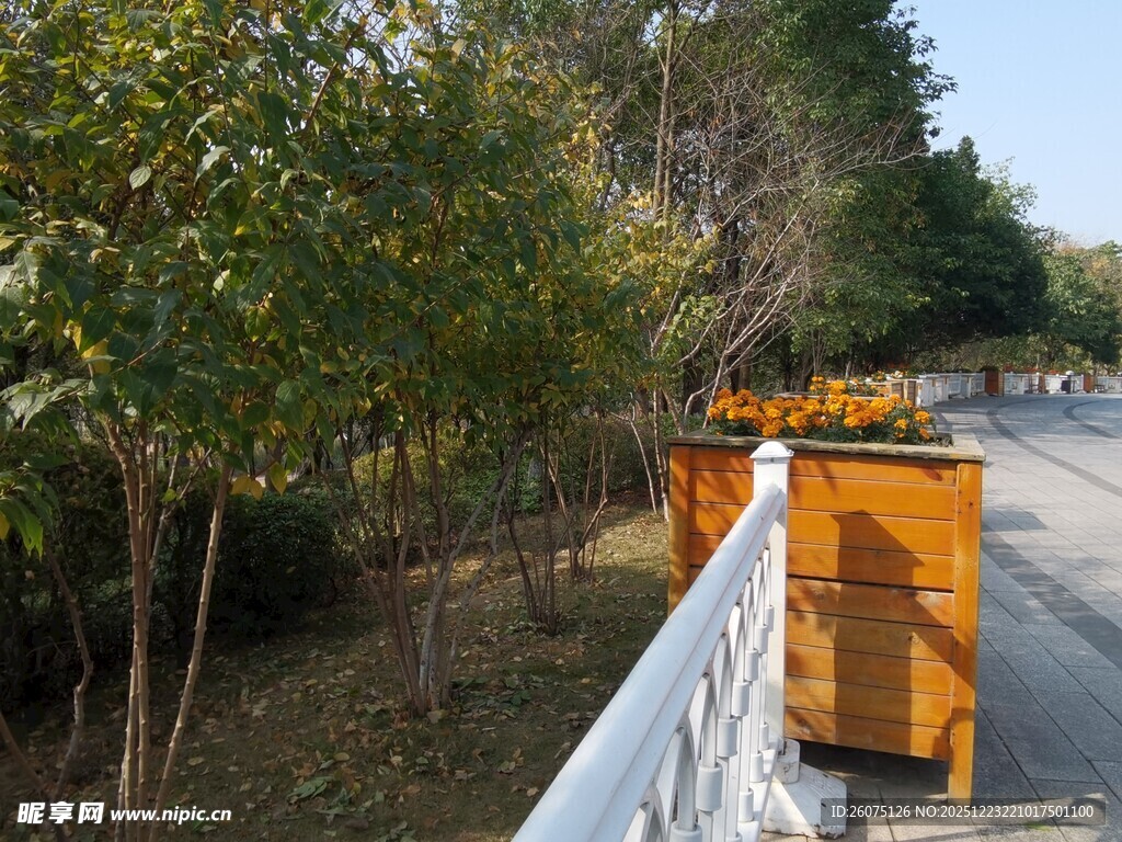 公路旁的树木与橙色设备