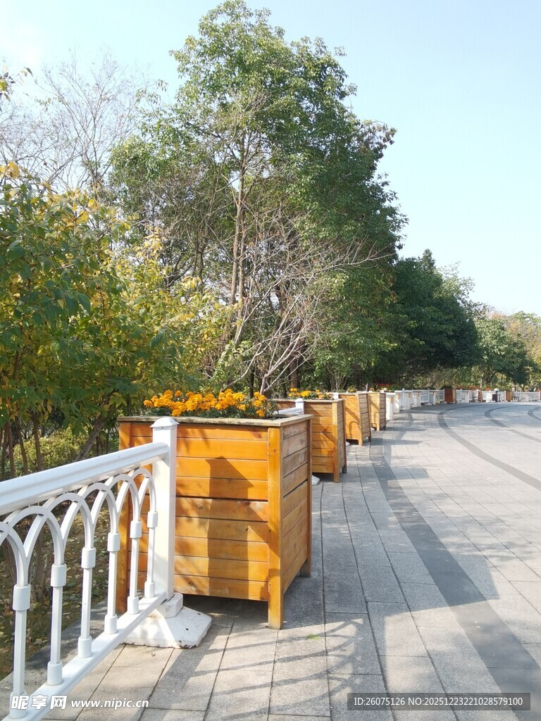 户外木质垃圾桶排列景观